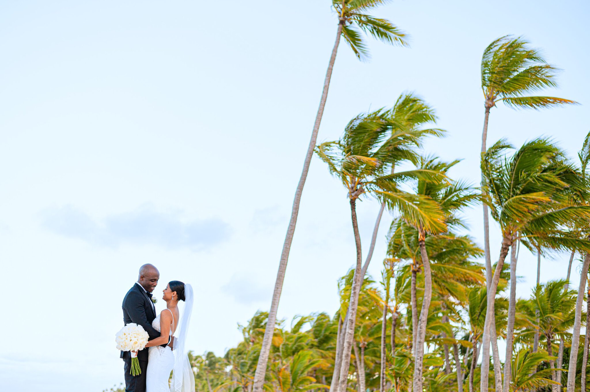Couple beneath windswept palm trees at a Punta Cana wedding