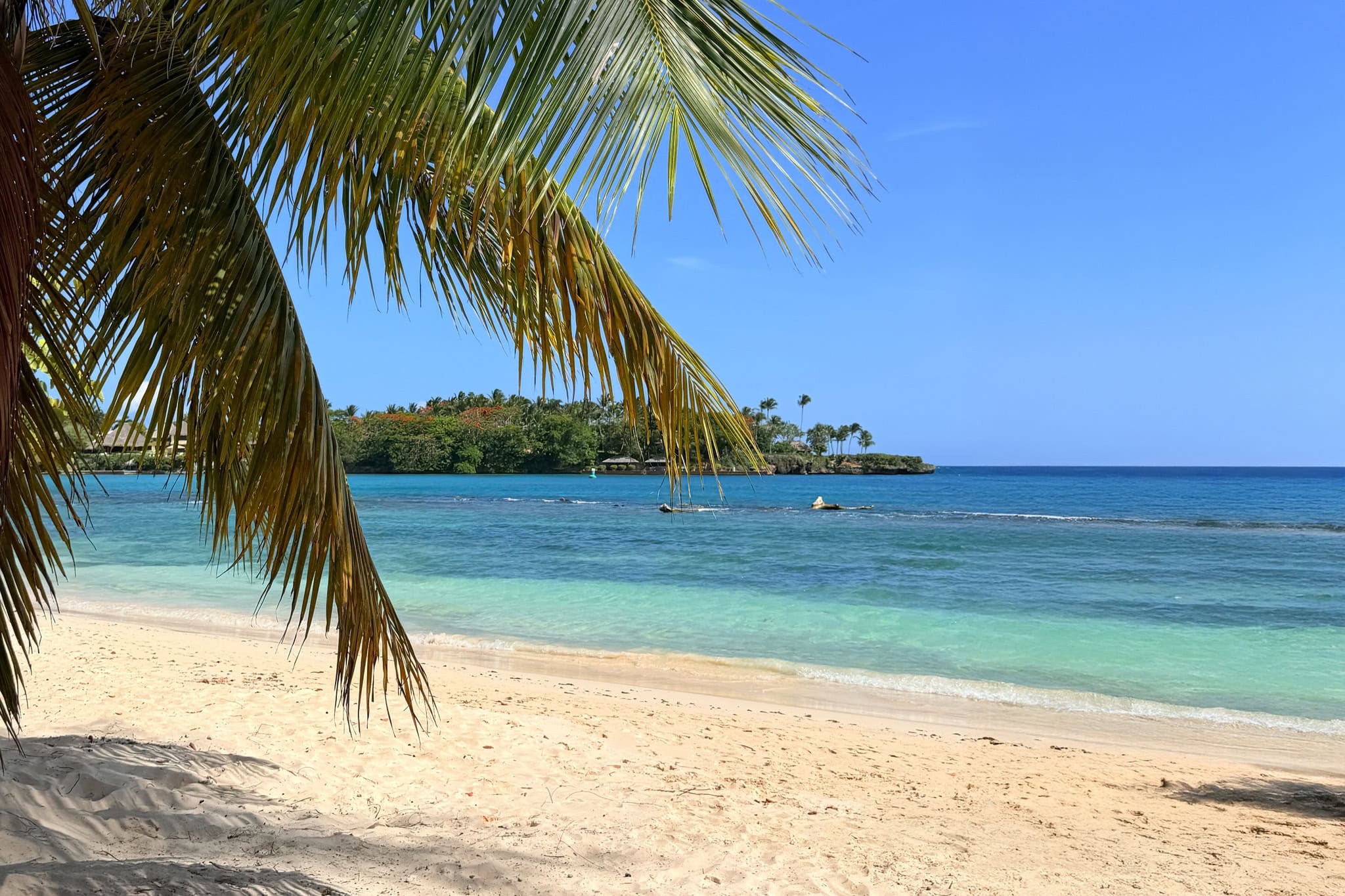 Palm fronds framing the calm turquoise water of Playa Minitas, the beach at Casa de Campo in La Romana, Dominican Republic